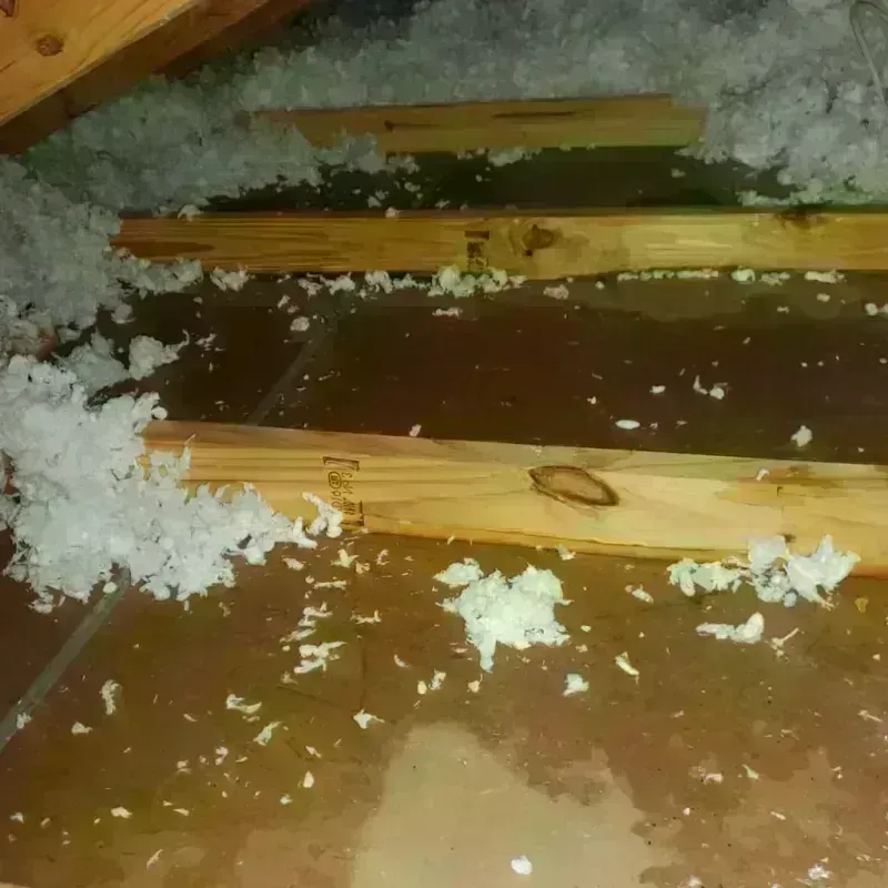 Attic Water Damage in Sherburne County, MN